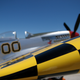 Illustration for article titled Mustang